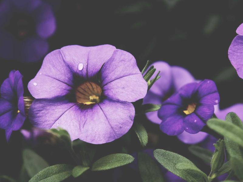 android screenshot 1