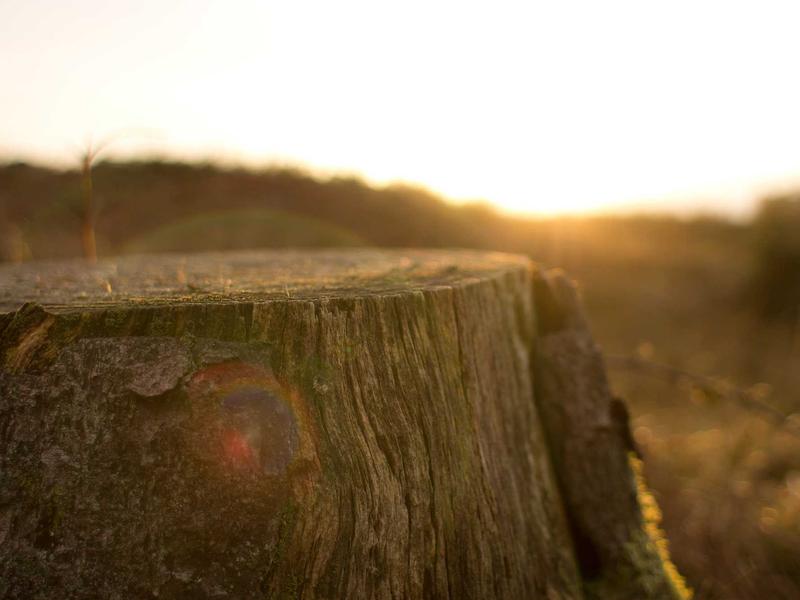 sudoku cooperative play