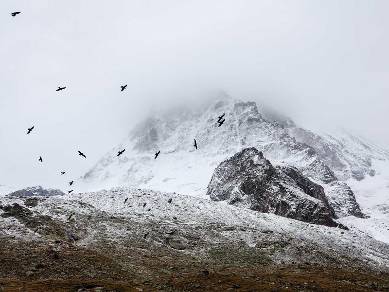 sudoku cooperative play screenshot 5